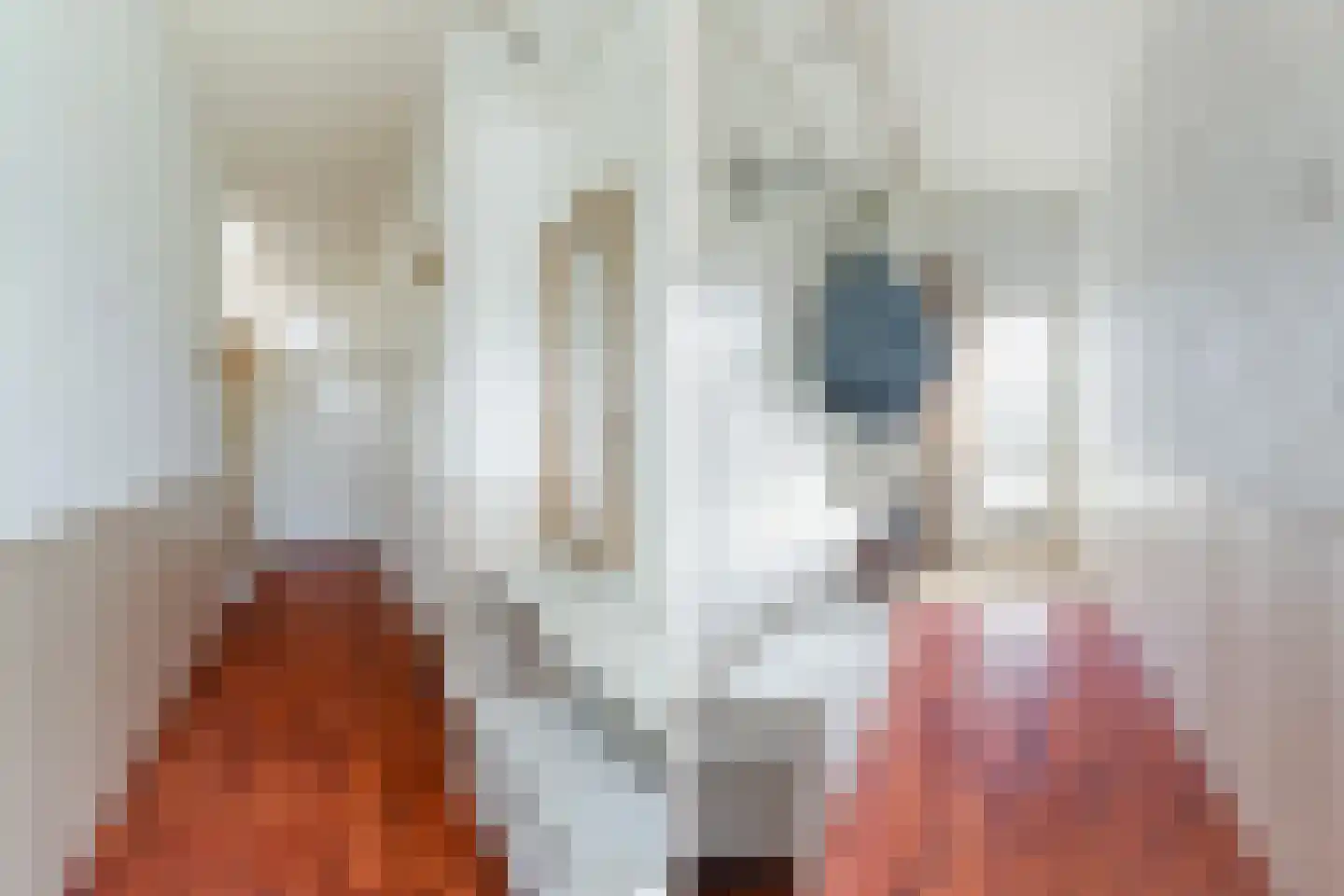 Haadwei 92 Damwâld thumbnail 11