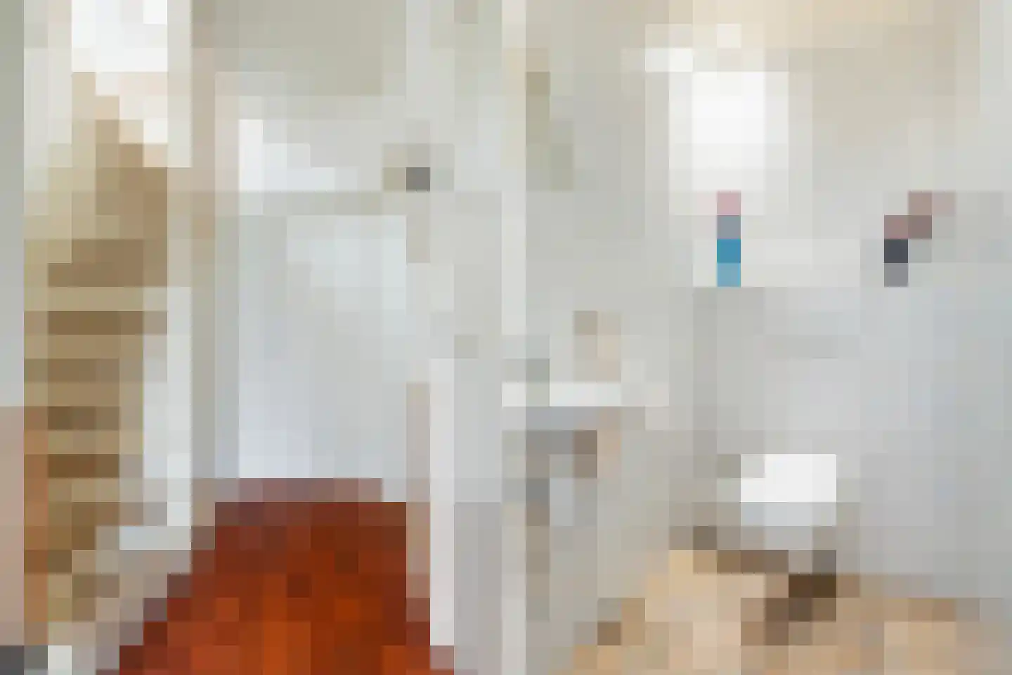 Haadwei 92 Damwâld thumbnail 12