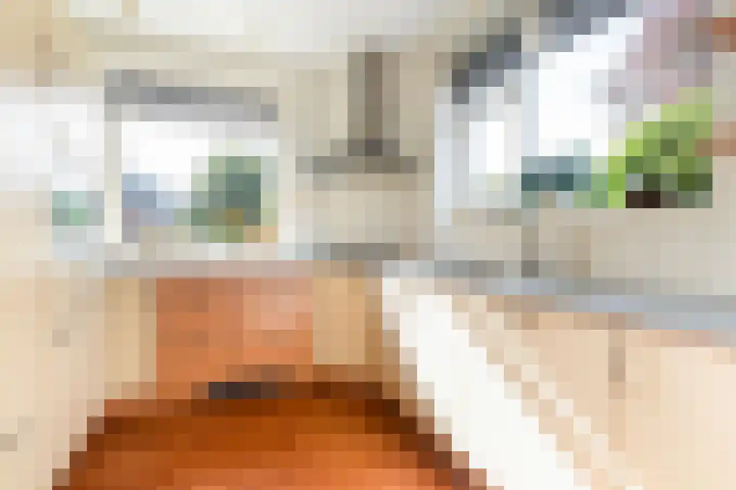 Haadwei 92 Damwâld thumbnail 18