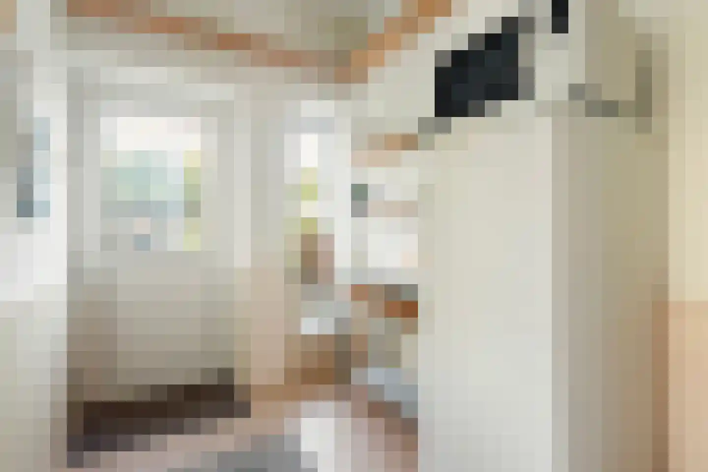 Haadwei 92 Damwâld thumbnail 20