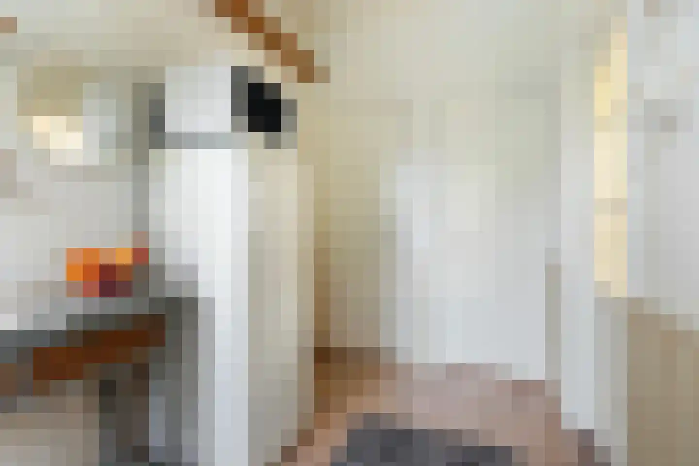 Haadwei 92 Damwâld thumbnail 21