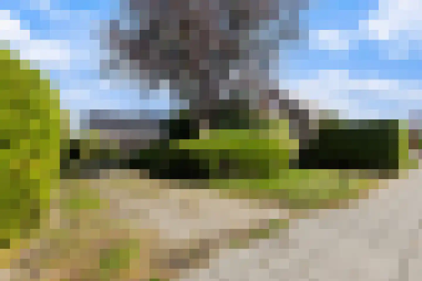 Haadwei 92 Damwâld thumbnail 27