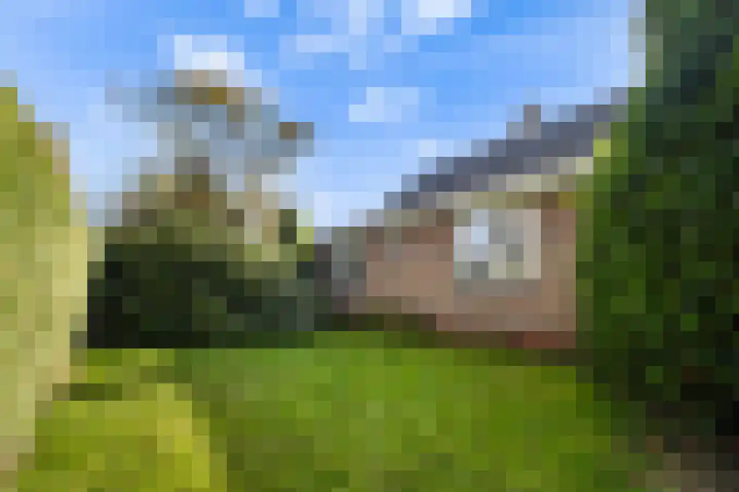 Haadwei 92 Damwâld thumbnail 28