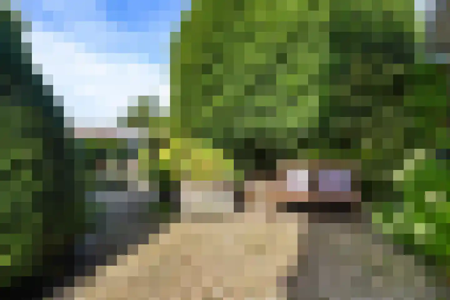 Haadwei 92 Damwâld thumbnail 4