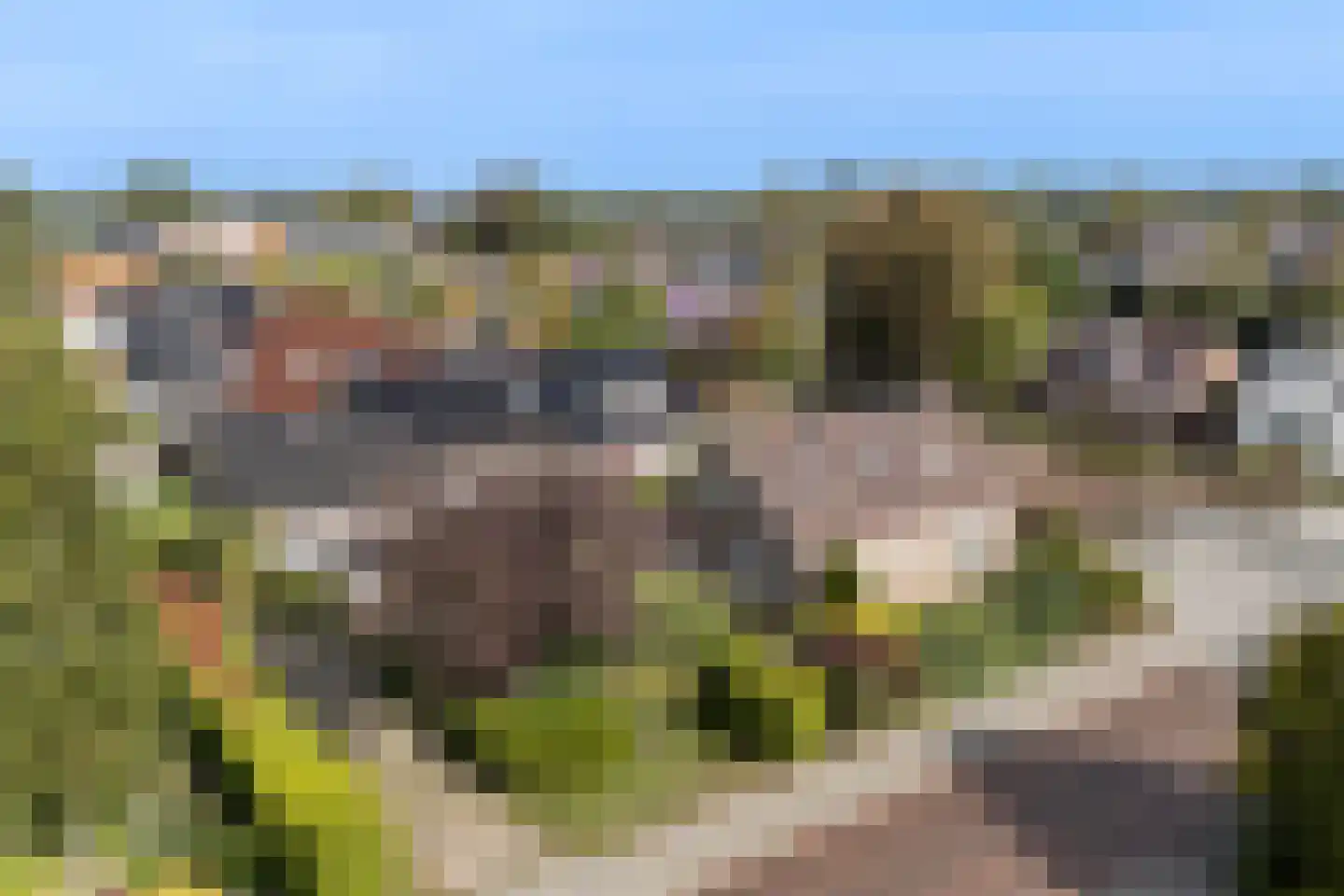 Haadwei 92 Damwâld thumbnail 42