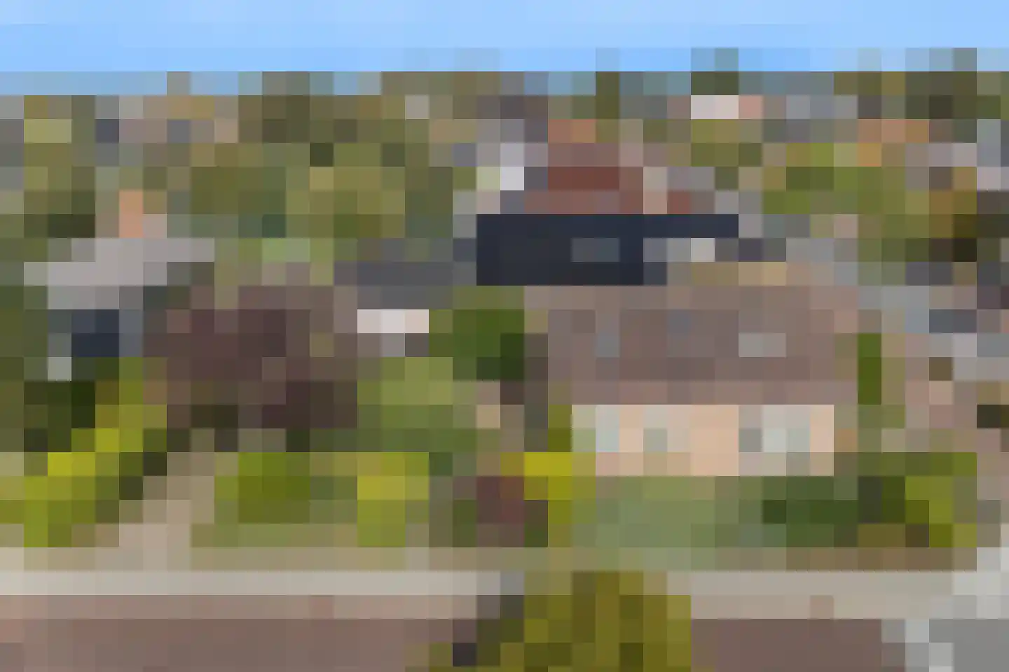 Haadwei 92 Damwâld thumbnail 43