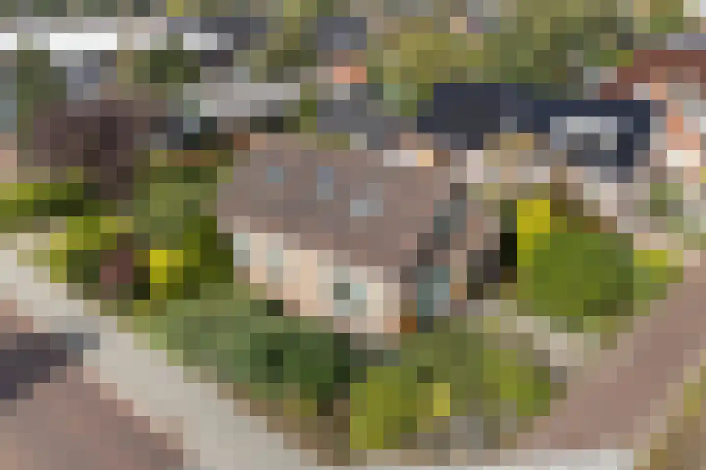 Haadwei 92 Damwâld thumbnail 5