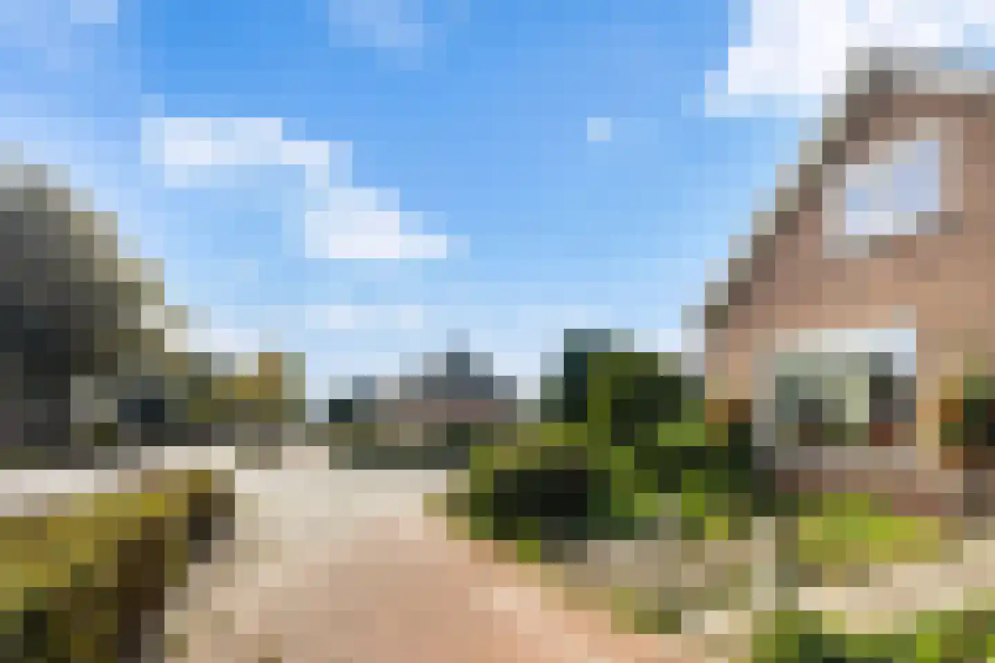 Haadwei 92 Damwâld thumbnail 9