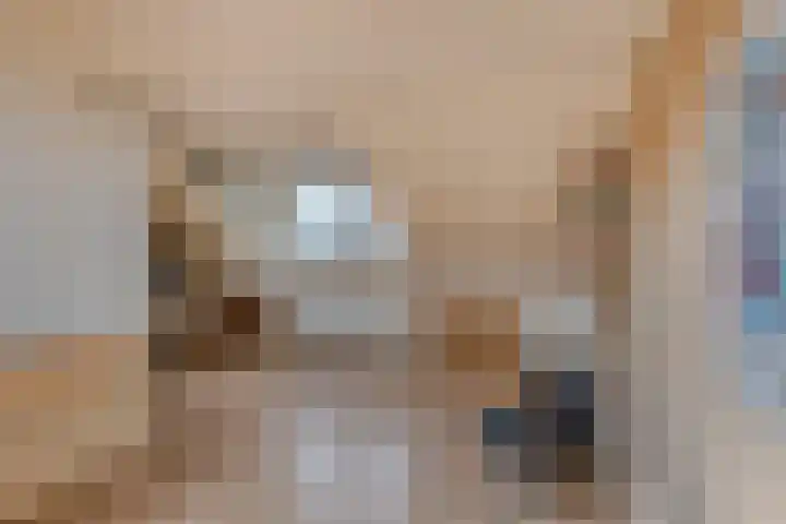 Haafkensborg 2 Maastricht thumbnail 20