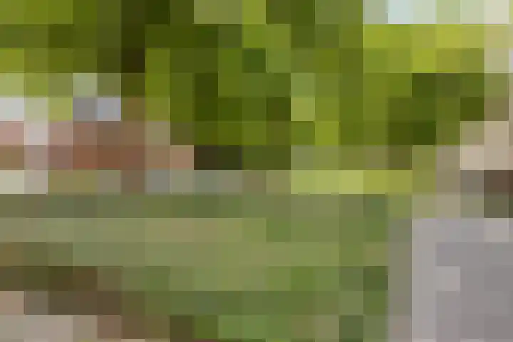 Haafkensborg 2 Maastricht thumbnail 30