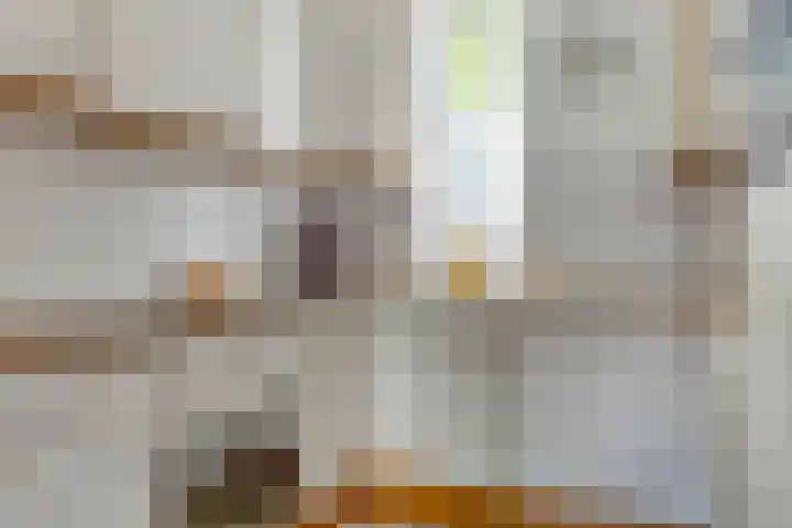 Haafkensborg 2 Maastricht thumbnail 9