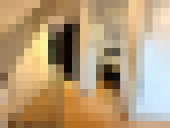 Haag 4 Veldhoven thumbnail 22