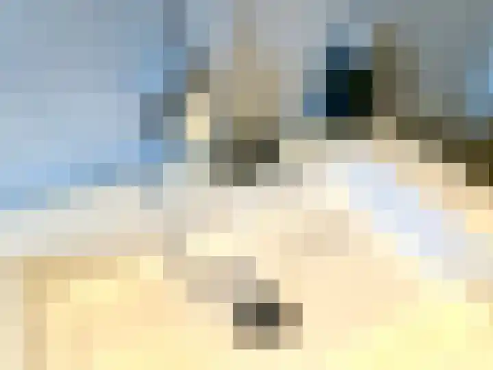 Haag 4 Veldhoven thumbnail 25