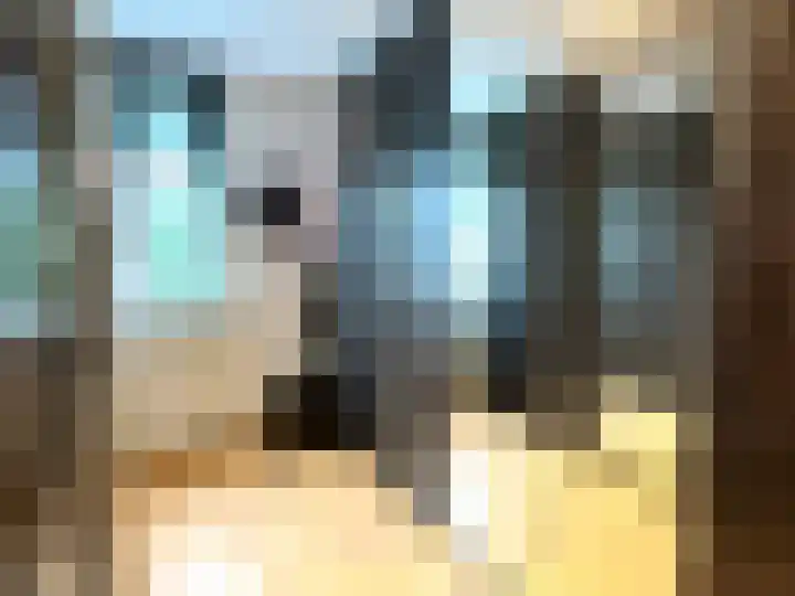 Haag 4 Veldhoven thumbnail 27
