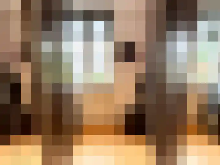 Haag 4 Veldhoven thumbnail 28