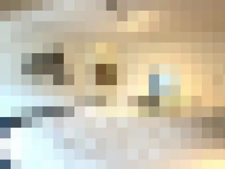 Haag 4 Veldhoven thumbnail 31