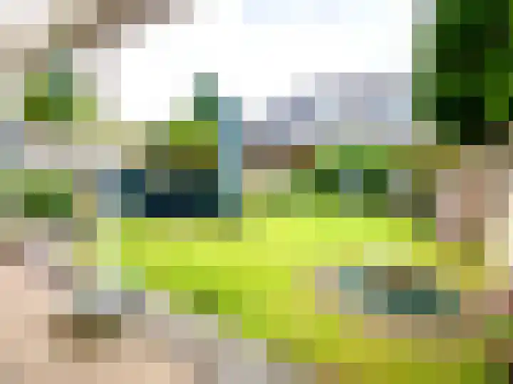 Haag 4 Veldhoven thumbnail 40