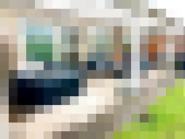 Haag 4 Veldhoven thumbnail 41