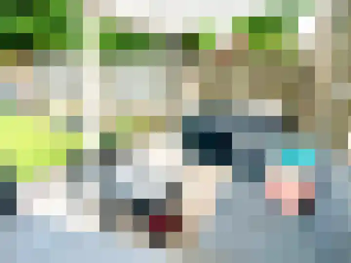 Haag 4 Veldhoven thumbnail 43
