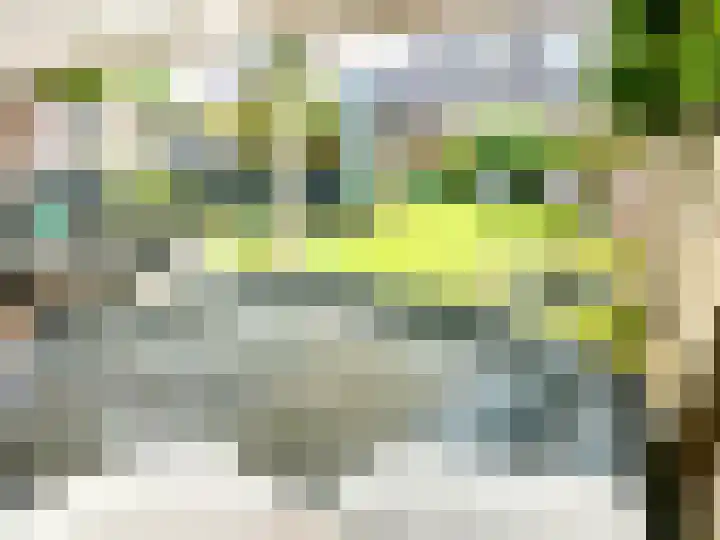 Haag 4 Veldhoven thumbnail 45