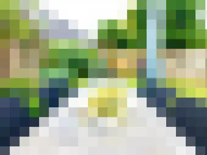 Haag 4 Veldhoven thumbnail 48