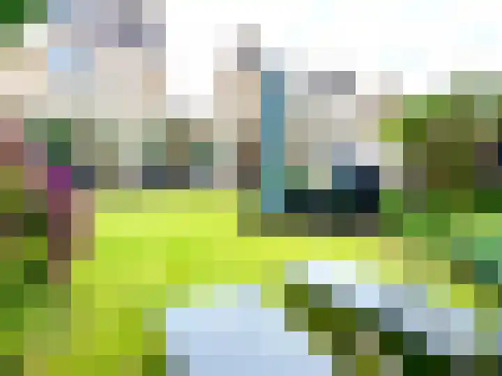 Haag 4 Veldhoven thumbnail 49