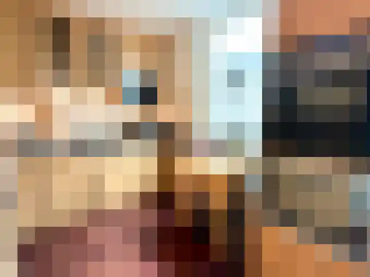 Haag 4 Veldhoven thumbnail 9