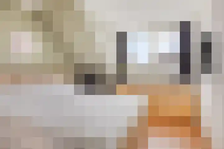 Haag 9 Veldhoven thumbnail 17