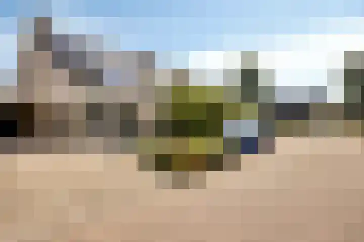 Haag 9 Veldhoven thumbnail 37