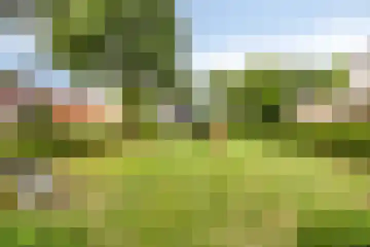 Haag 9 Veldhoven thumbnail 43