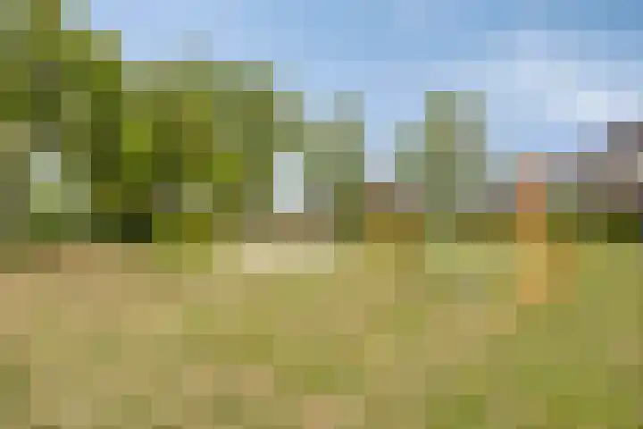Haag 9 Veldhoven thumbnail 44