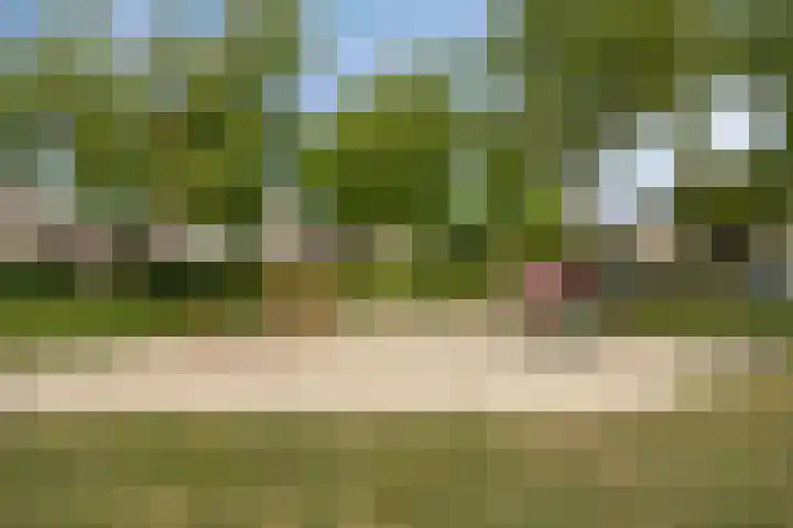 Haag 9 Veldhoven thumbnail 45