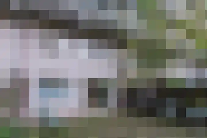 Haag en Veld 245 A Amsterdam thumbnail 11