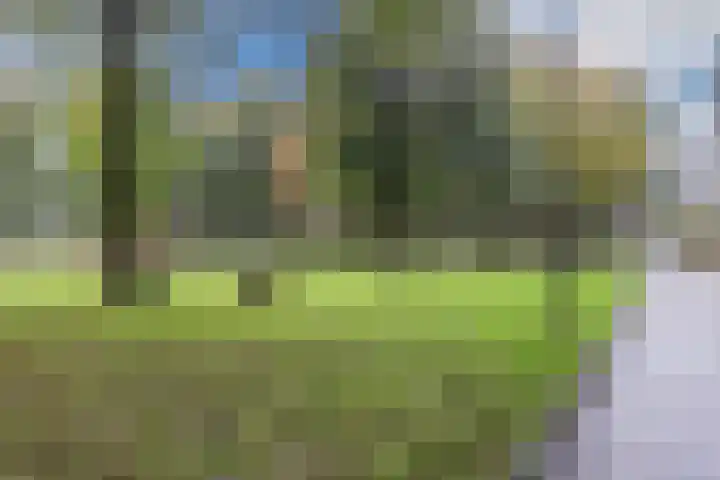 Haag en Veld 245 A Amsterdam thumbnail 12