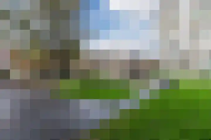 Haag en Veld 245 A Amsterdam thumbnail 30