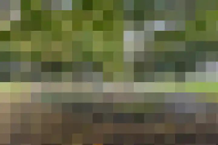 Haag en Veld 245 A Amsterdam thumbnail 31