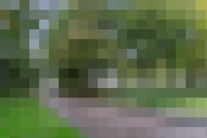 Haag en Veld 245 A Amsterdam thumbnail 4