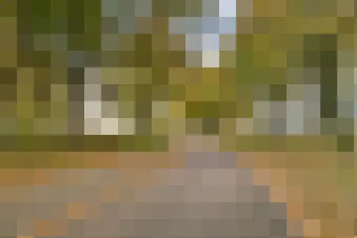 Haag en Veld 295 A Amsterdam thumbnail 21