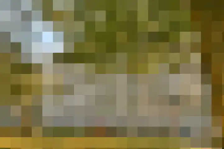 Haag en Veld 295 A Amsterdam thumbnail 22