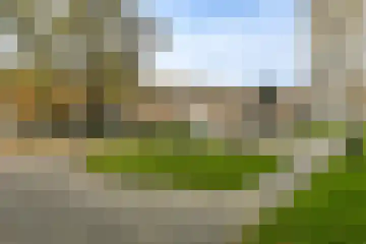 Haag en Veld 295 A Amsterdam thumbnail 25