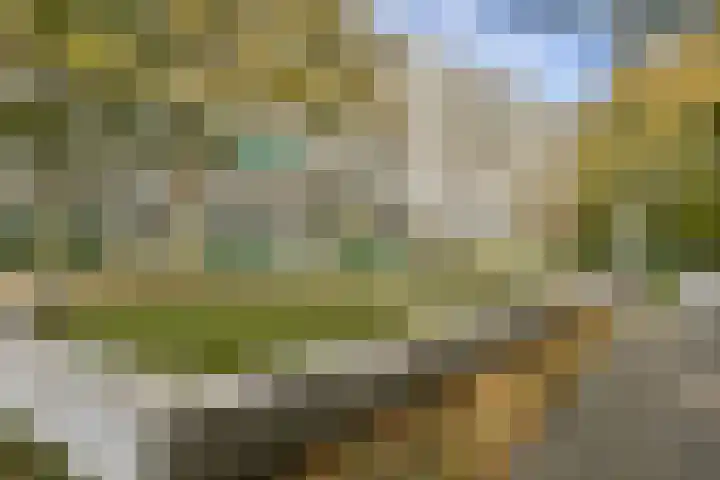 Haag en Veld 295 A Amsterdam thumbnail 26