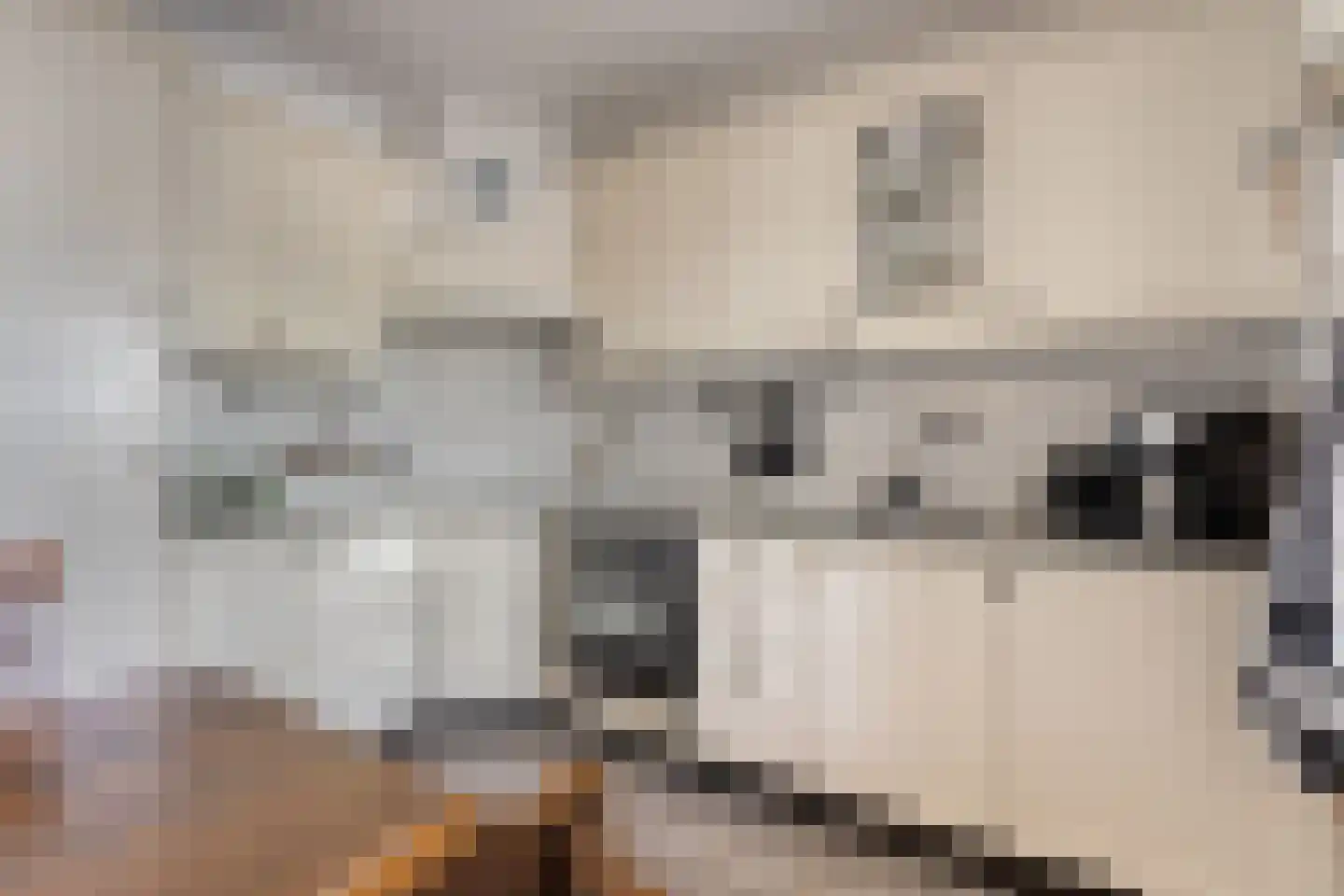 Haagakker 8 Den Dungen thumbnail 13