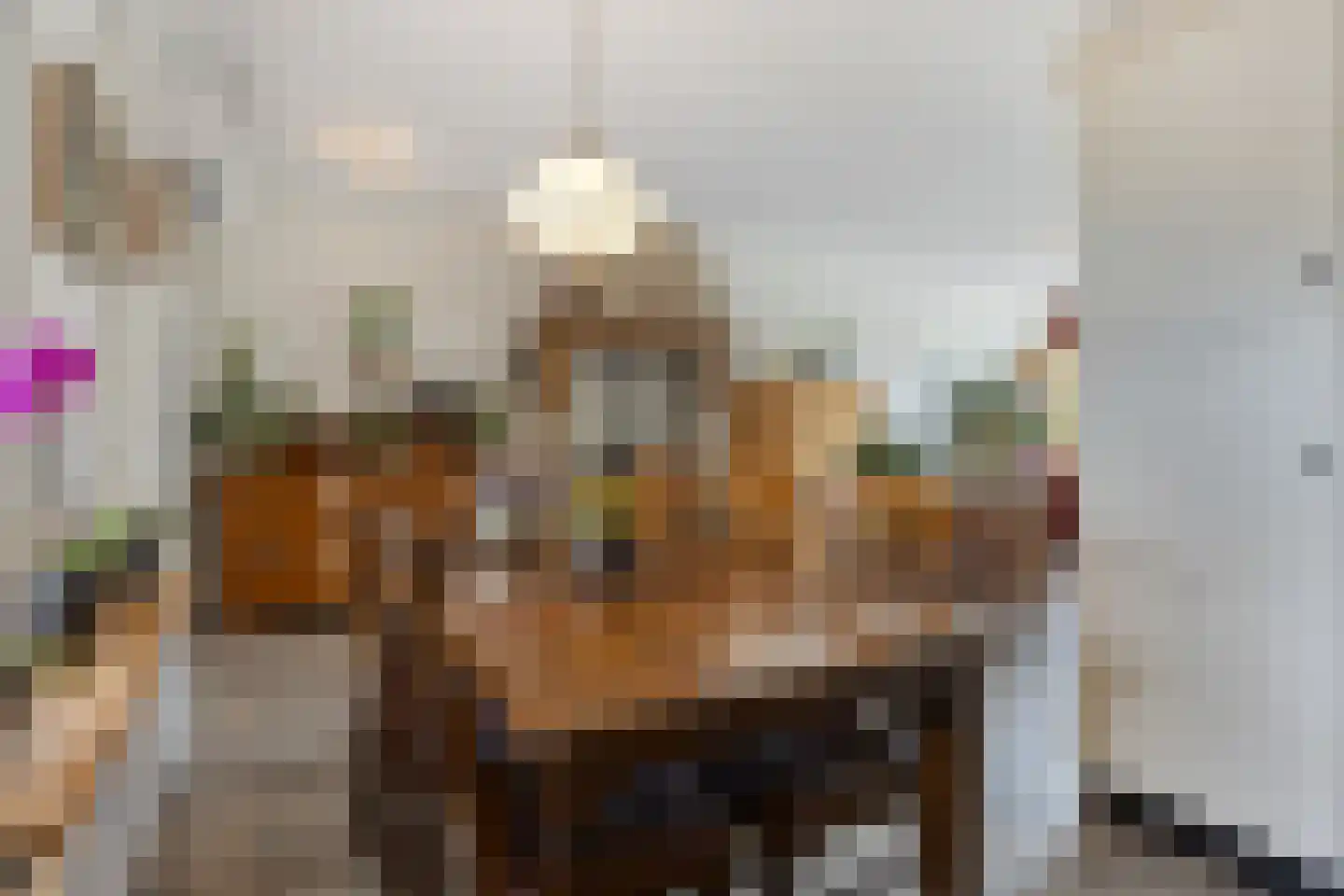 Haagakker 8 Den Dungen thumbnail 15
