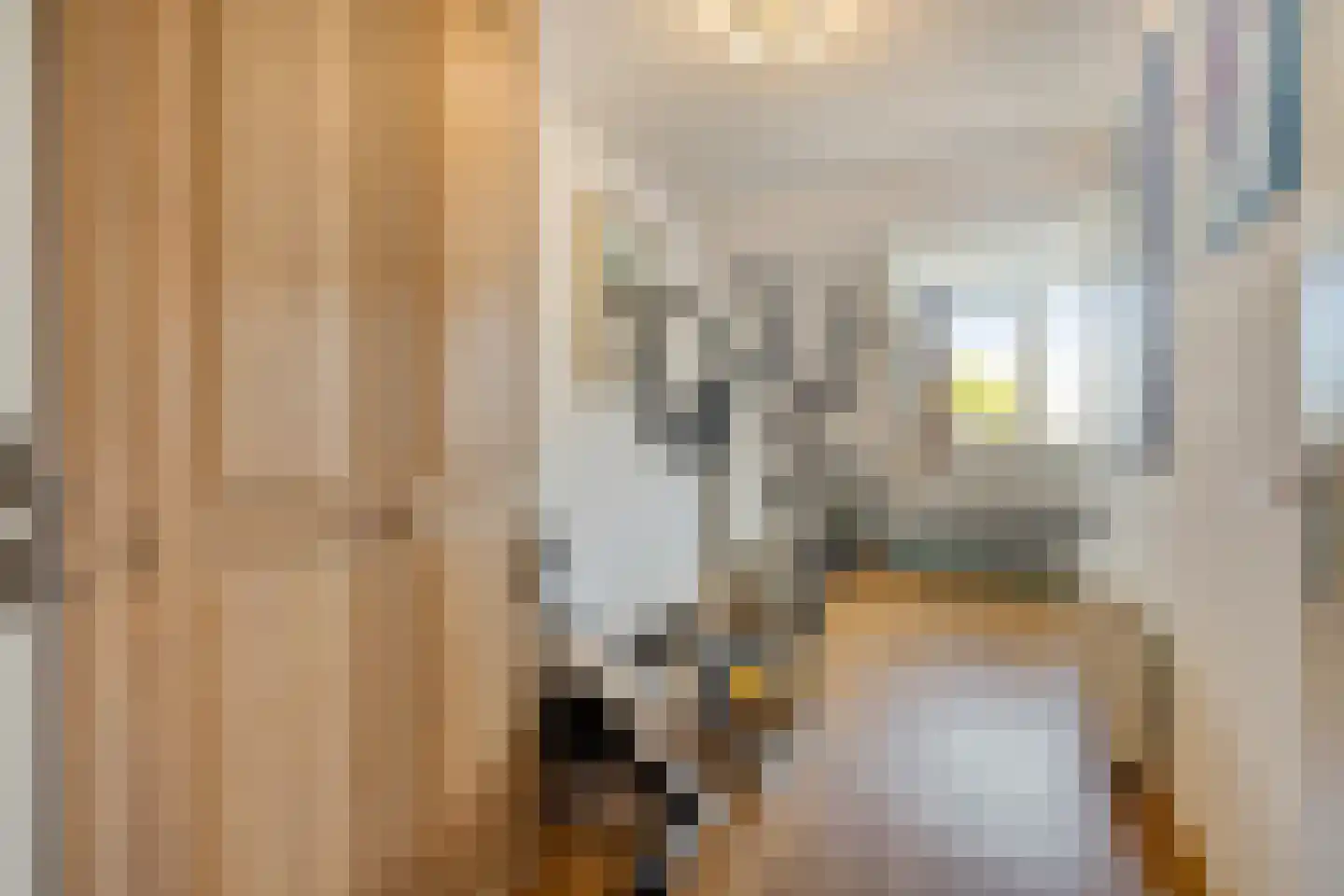 Haagakker 8 Den Dungen thumbnail 18