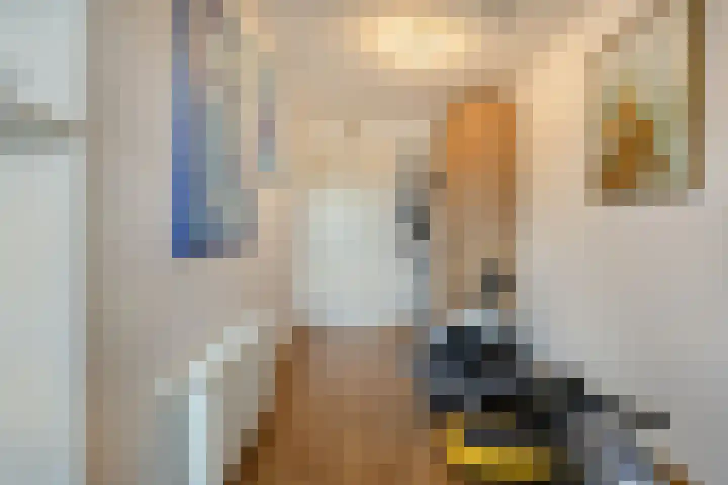 Haagakker 8 Den Dungen thumbnail 19
