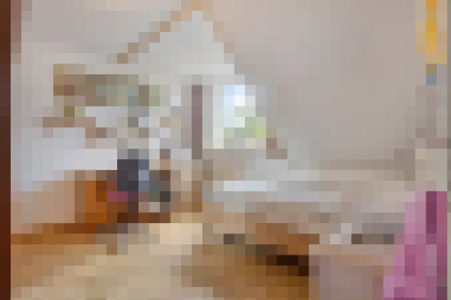 Haagakker 8 Den Dungen thumbnail 25