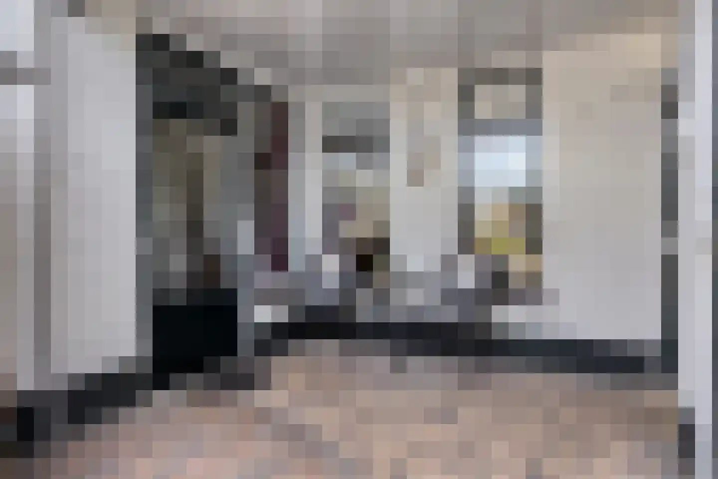 Haagakker 8 Den Dungen thumbnail 31