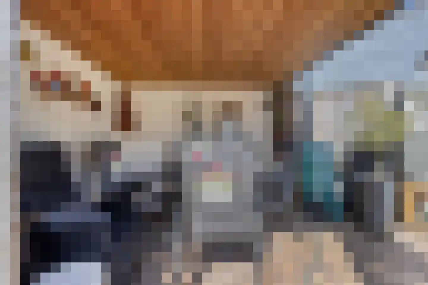 Haagakker 8 Den Dungen thumbnail 36