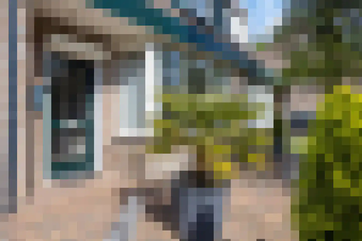Haagakker 8 Den Dungen thumbnail 5