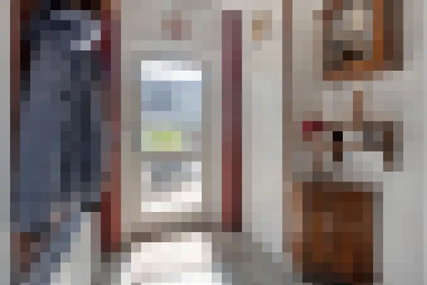 Haagakker 8 Den Dungen thumbnail 6